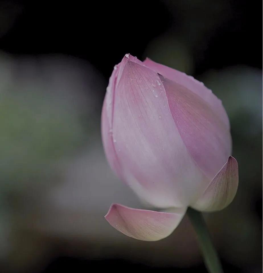 微信圖片_20210813144258